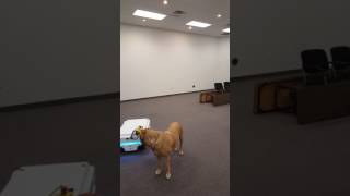 MiR Robot turning corners 1