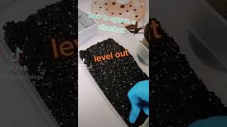 Easily Spawn A 6 Quart