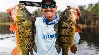 Guidelines - Everglades Peacock Bass Fishing screenshot 5