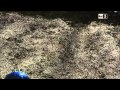 Le Gole del Sagittario su GEO (Rai3) - 14/03/2014