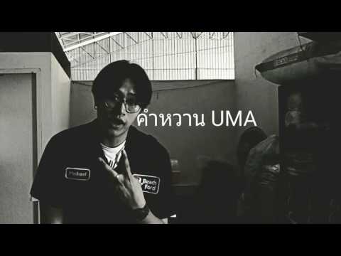 คำหวาน(ที่เธอไม่เอา)uma-cover by-เขฐ