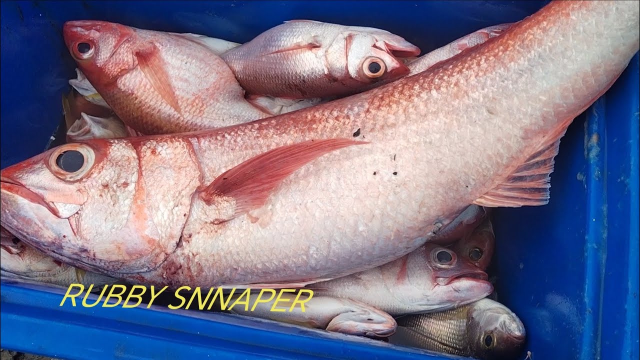 DUMAYO KAMI SA ISANG ISLAND SA MINDORO GRABE DAMING ISDA NEVER KANG MAZEZERO.. 