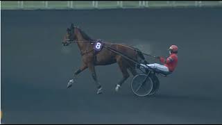 RACE 7 VINCENNES - FRANCE - 29 JAN 2026