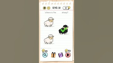 Brain Test Where is the black sheep