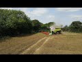 Linseed Harvest 2025