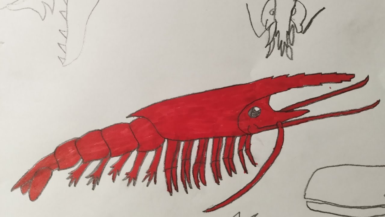 Sound Effects-"Fictionalized" Giant Red Mysid