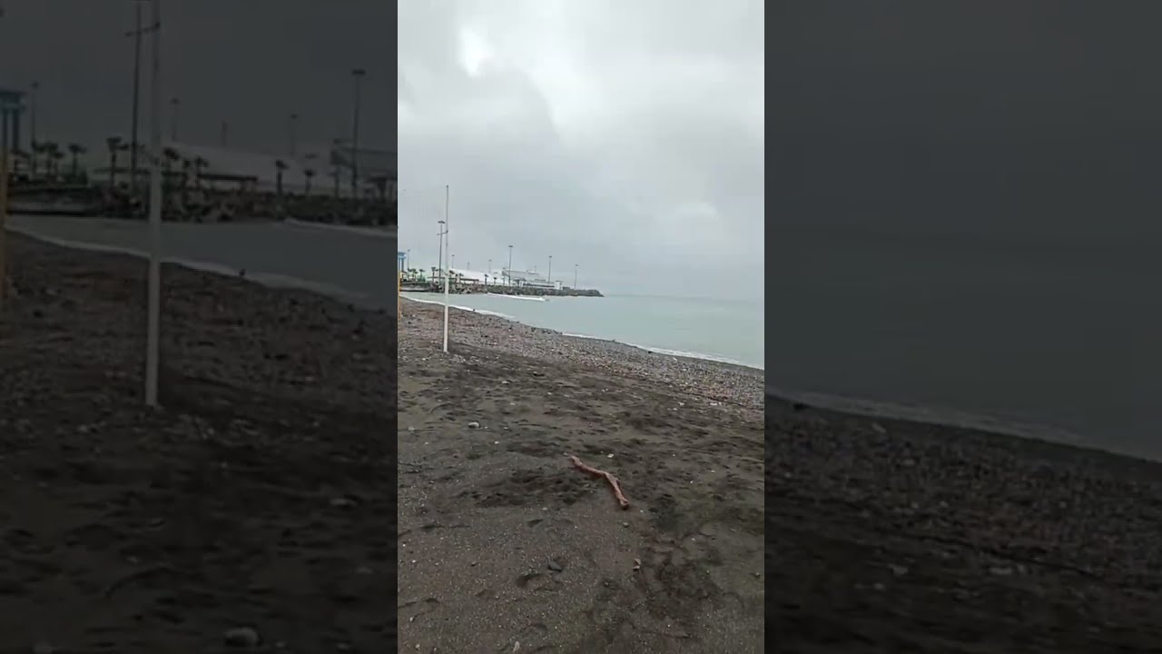 Сочи. Все виды Ривьер