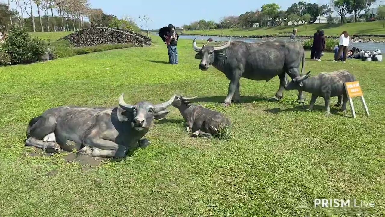 外出走走(安農溪驛站)01