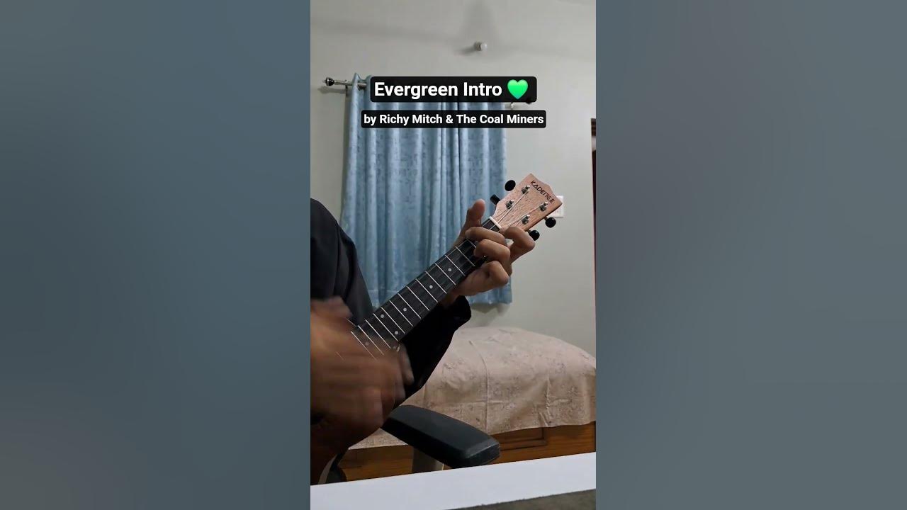 Ukulele Evergreen Intro by Richy Mitch & The Coal Miners