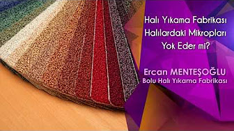 Bolu Hali Yikama M2 Si 2 Tl Gun Icinde Teslim