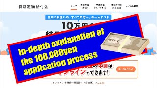 In-depth explanation of the 100,000yen application process