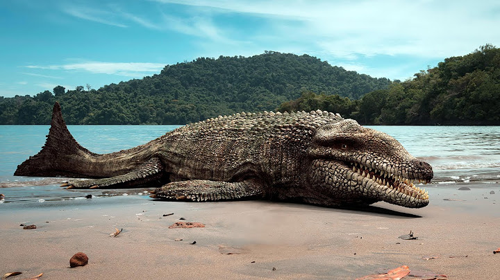 Geh Nicht Ins Wasser Vor 100 Millionen Jahren