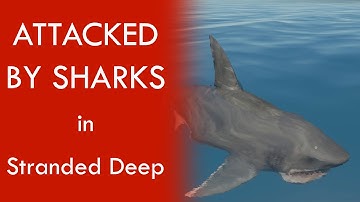 ATTACKED BY SHARKS in Stranded Deep