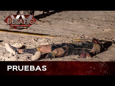 El ganador del