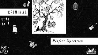 Perfect Specimen | Criminal Podcast
