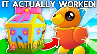 Testing How To Always Hatch A Legendary Duckling In Adopt Me!