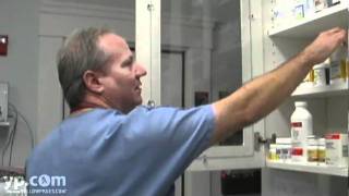 Animal Hospitals Greenville RI NorthPaws Veterinary Center