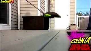 Tamtam Eu Dançando Funk