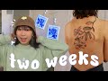 STUDIO VLOG// packing orders, tattooing, lots of cooking! 🧚🏻✨