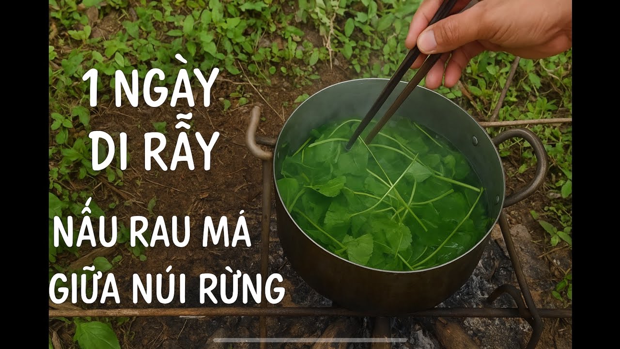 Một Ngày Ở Rẫy – Hái Rau Má Rừng Nấu Ăn Dân Dã Mà Ngon Tuyệt!