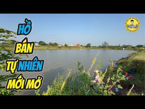 Hồ Bán Tự Nhiên Mới Mở Đã Đóng Cửa - Quế Võ Bắc Ninh?