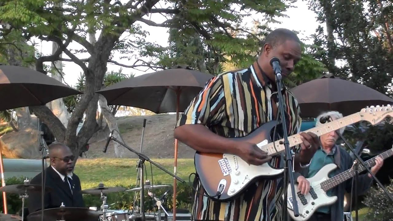 Spring Harp Fest 2011 Stoney B Blues Band