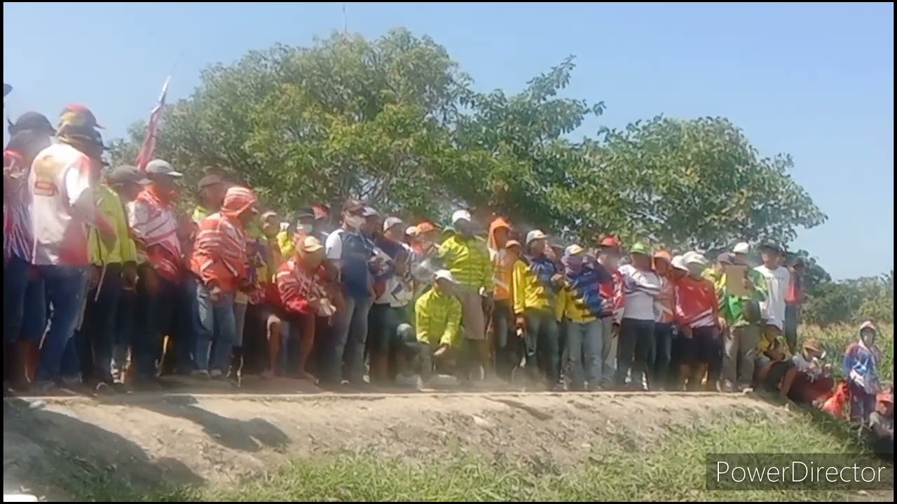 lomba merpati balap Situbondo#part1