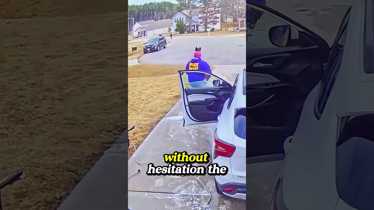 Dad Saves Child Just in Time as Dog Charges