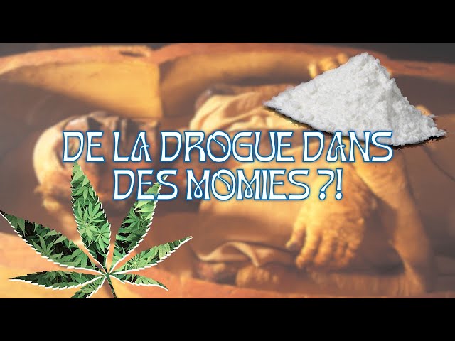 HS #8 - DE LA DROGUE DANS DES MOMIES EGYPTIENNES ?! 😱