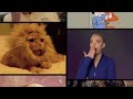 Почему люди зевают // ОЧБ Подкаст