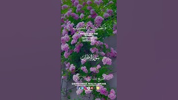 سورة الأحزاب SURAH AL-AHZAB #عبدالولي_الاركاني #abdulwali_alarkani