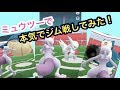 神プレイでクスリ不足解消!【ポケモンGO】