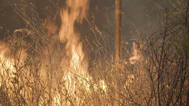 California wildfires morning update | August 24, 2020