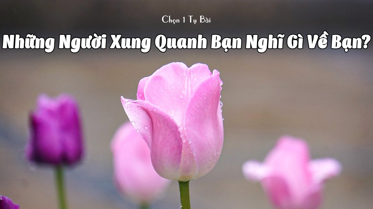 Những Người Xung Quanh Bạn Nghĩ Gì Về Bạn?