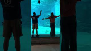Enjoy your visit at CMA
Theres something for everyone to enjoy at Clearwater Marine Aquarium! Our staff loves sharing the experience as much as our guests! Grab a friend, and enjoy your visit too!
Donate and support CMA at HelpCMA.org!
© 2025 Clearwater Marine Aquarium
We believe in preserving our environment while inspiring the human spirit through leadership in the rescue, rehabilitation, and release of marine life; environmental education; research; and conservation. We are a non-profit 501(c)(3) organization.
https://www.facebook.com/ClearwaterMarineAquarium
https://www.instagram.com/cmaquarium/
https://twitter.com/CMAquarium
https://www.tiktok.com/@cmaquarium
https://www.cmaquarium.org Enjoy your visit at CMA