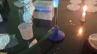 well diffusion method