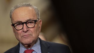‘Biggest loser’: Chuck Schumer ‘losing his grip’ within the Democratic Party