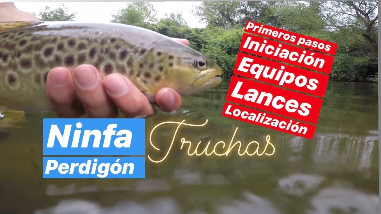 🔵 Truchas con Ninfa 2#🔻PERDIGON  Como empezar