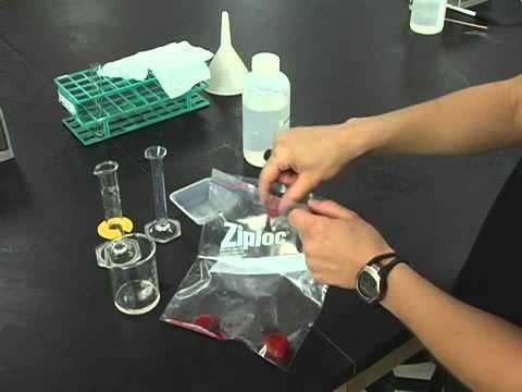 DNA Extraction