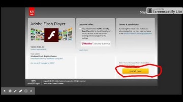 How to download adobe flash projector