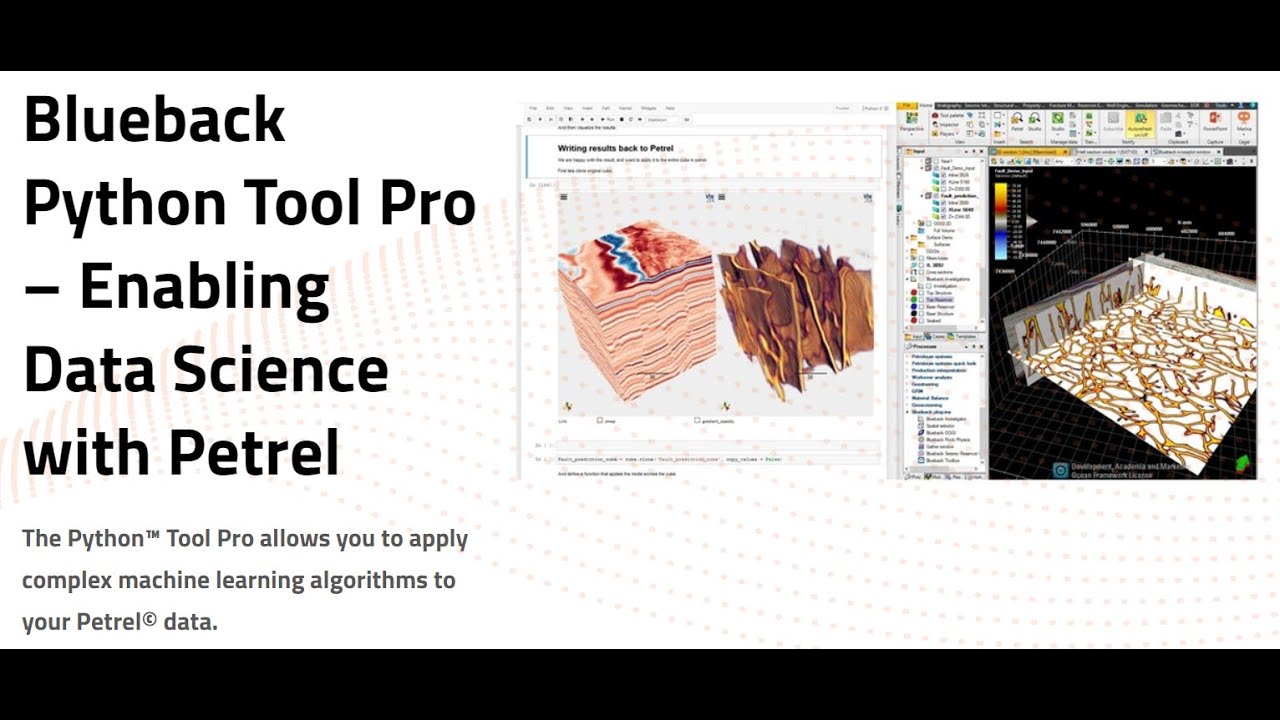 Питон, Петрель и ёлочка