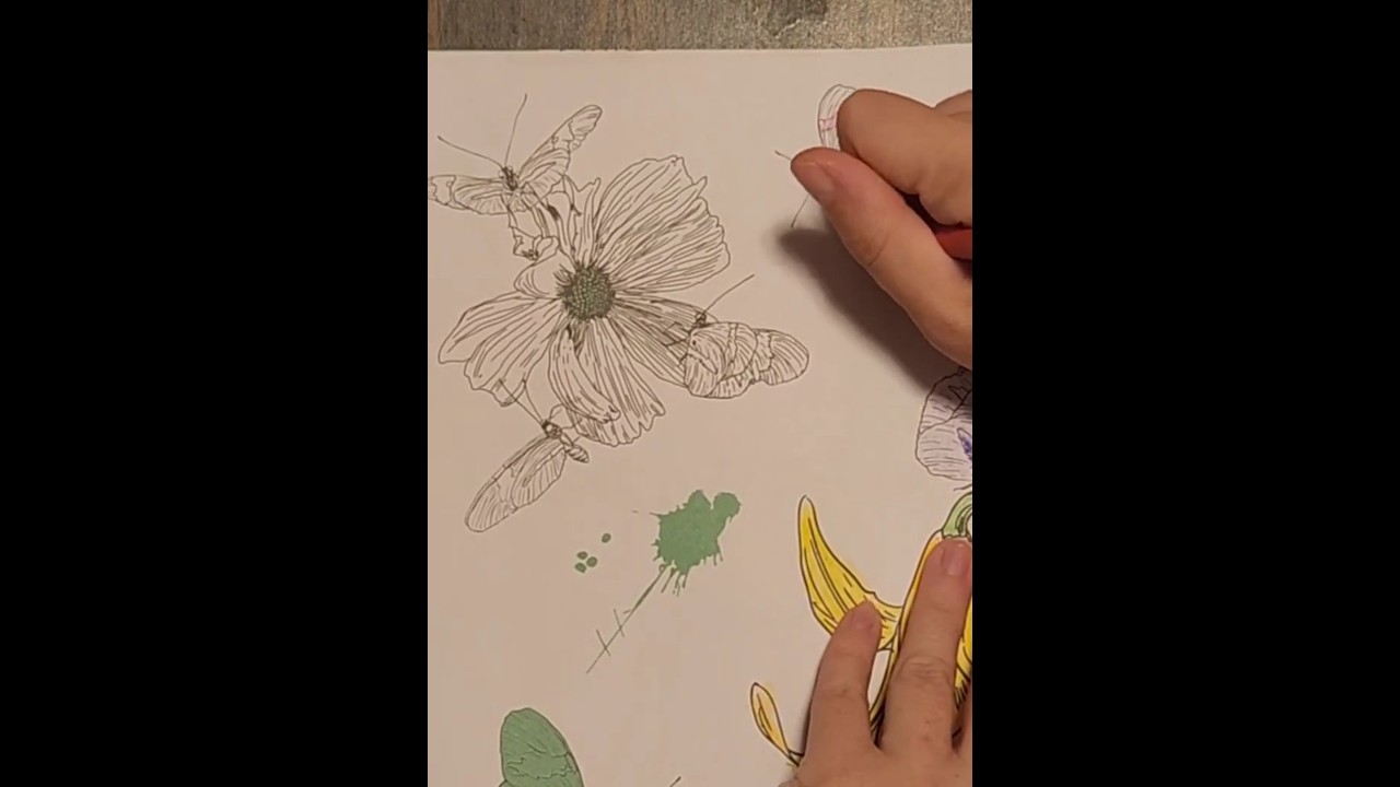 Crayon Coloring Flower and Butterfly Part 3