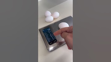 Accurate Food Scale for Macro Counting Under $35! #macros #macrocounting
