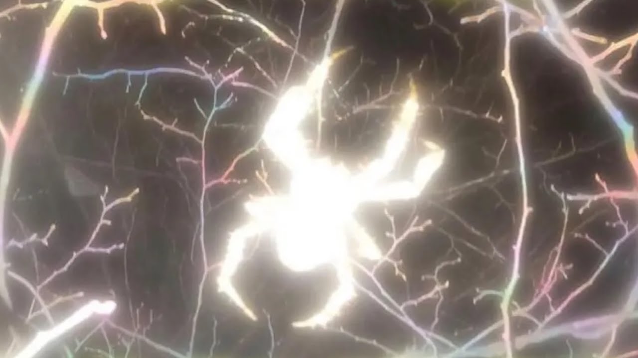 LUXI - 2 CHOPS (Official Music Video)