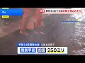 東京23区を含む関東甲信などでも線状降水帯のおそれ　都内の河川で一時「レベル4氾濫危険警報」発表相次ぐ｜TBS NEWS DIG