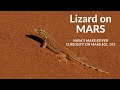 [MARS]- NEW Lizard On Mars Planet | LATEST 4K IMAGES FORM MARS BY PERSEVERANCE ROVER |