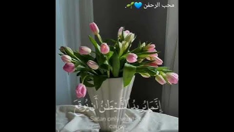 يا أيها الذين آمنوا || من سورة المائدة القارئ سعد الغامدي