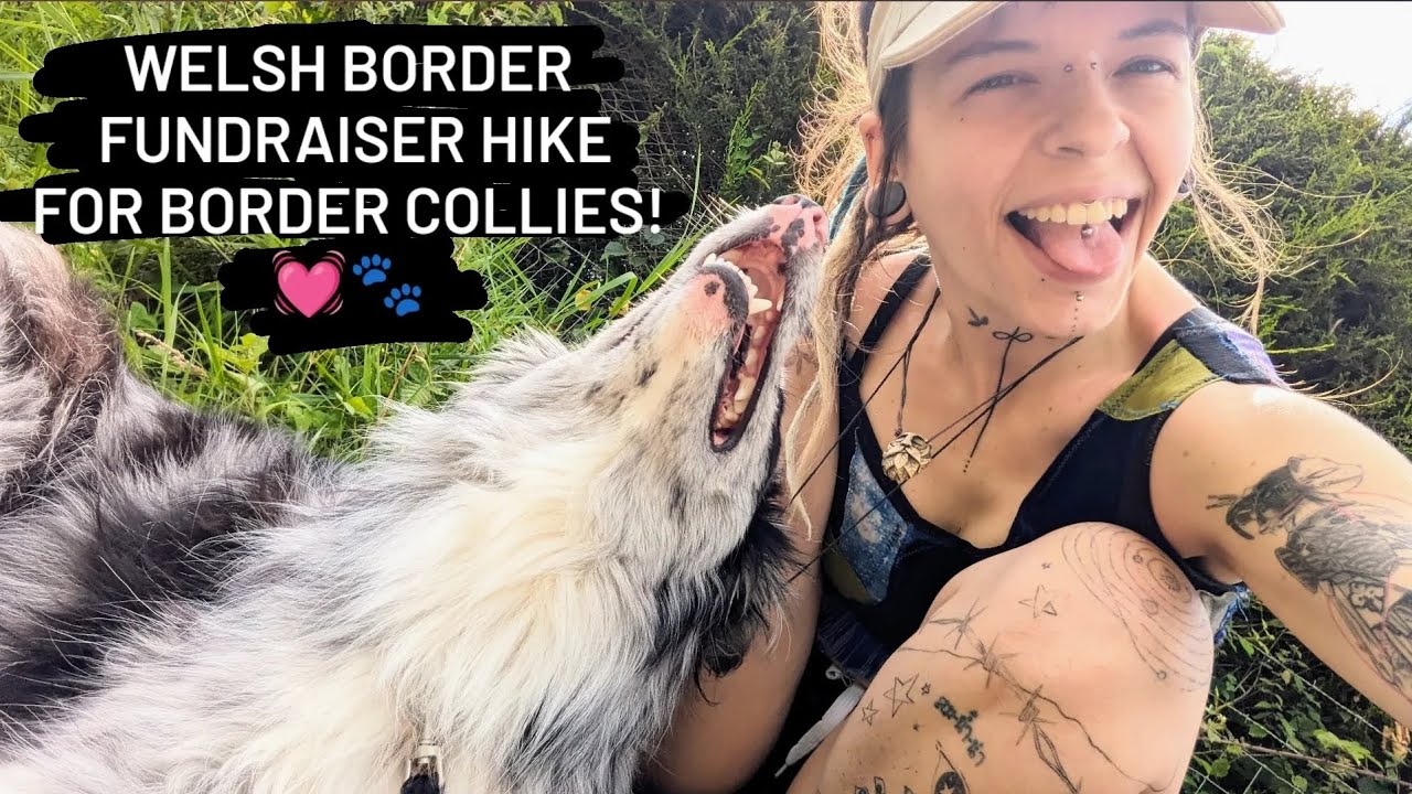 offas-dyke-path-charity-hike-collie-mentality-dog-training