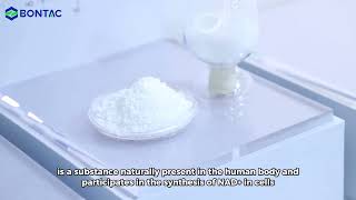 What Does Bontac, Which Serves Over A Thousand Enterprises Worldwide, Look Like?