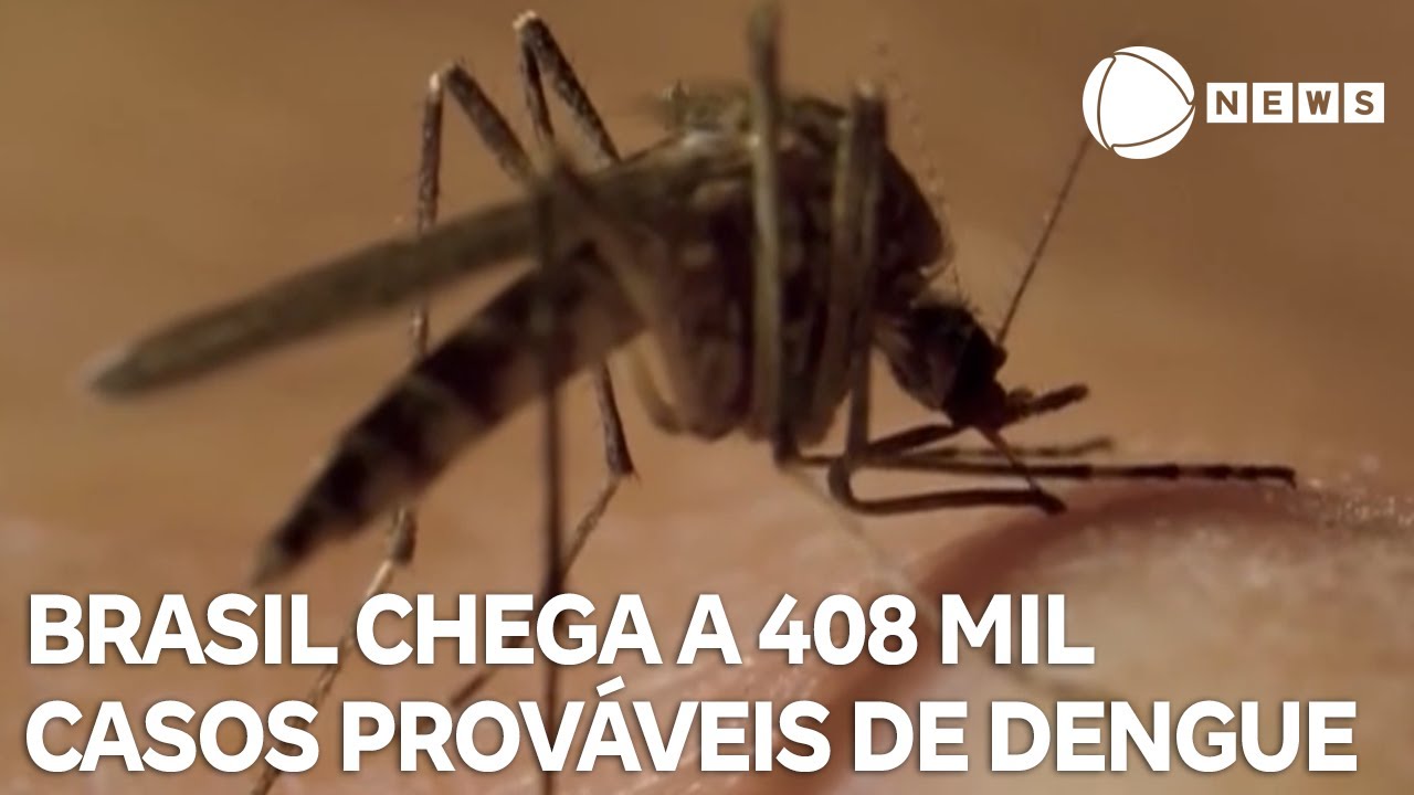 Brasil chega a 408 mil casos prováveis de dengue